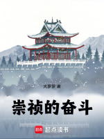崇祯的奋斗！小说封面