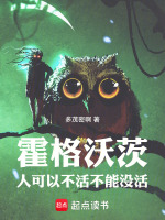 小说《/data/image/24941.jpg》封面