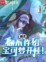 精灵：你不许给宝可梦开挂！小说封面
