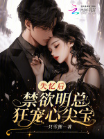 小说《/data/image/2795.jpg》封面