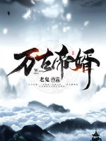 小说《/data/image/3128.jpg》封面