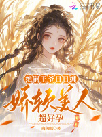 小说《/data/image/4221.jpg》封面