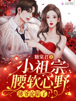 小说《/data/image/8701.jpg》封面