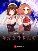 小说《/data/image/9685.jpg》封面